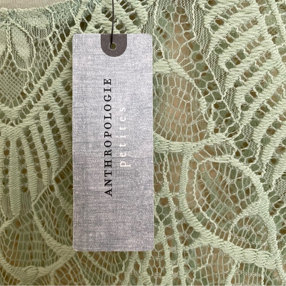 Anthropologie Bishop Young NEW Sheer Lacy Top Lace Blouse Light Green Scallop PS - Picture 5 of 9